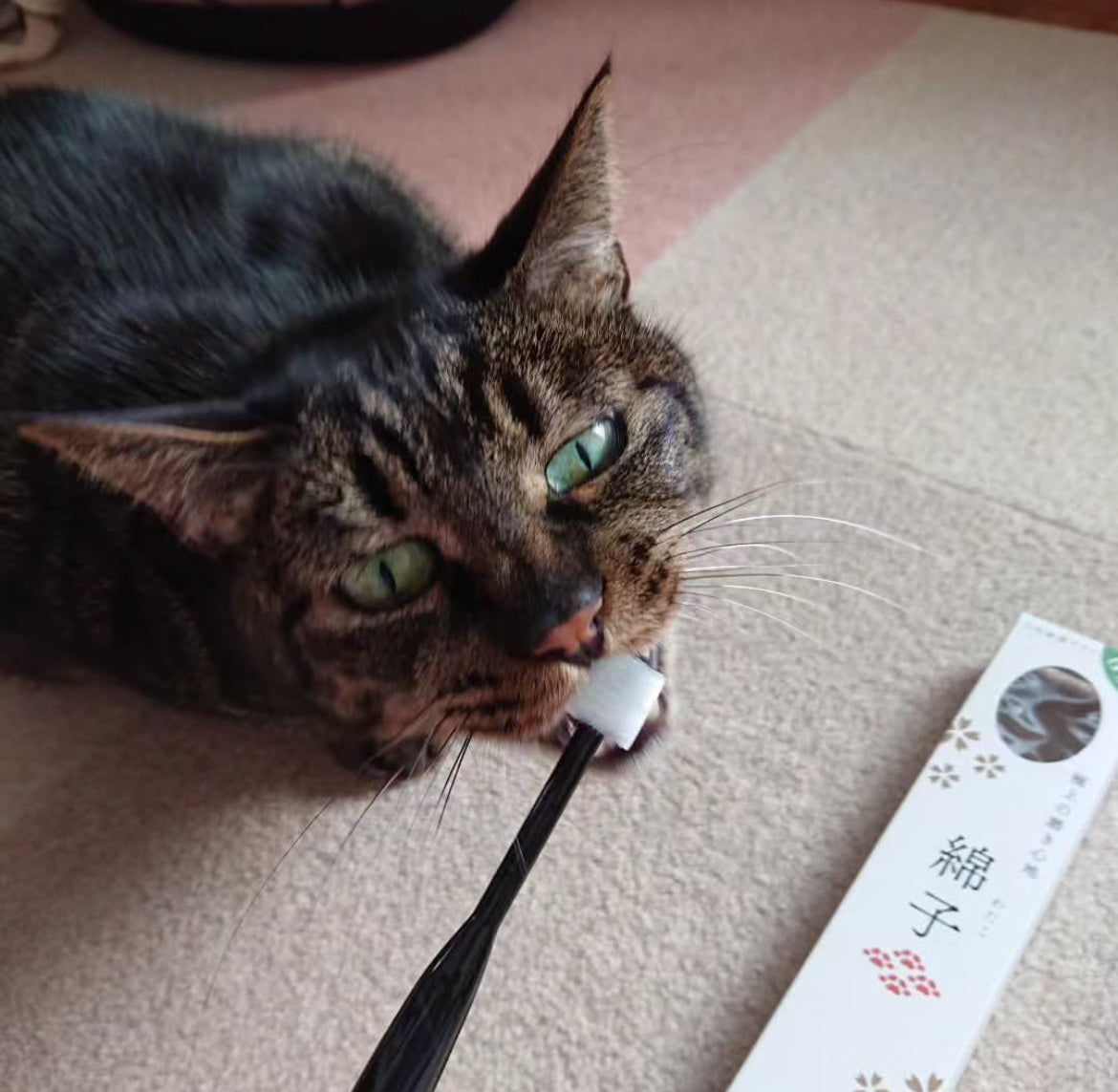 Wata-ko - 360° Ultra-Soft Toothbrush for Pets 【Made in Japan】
