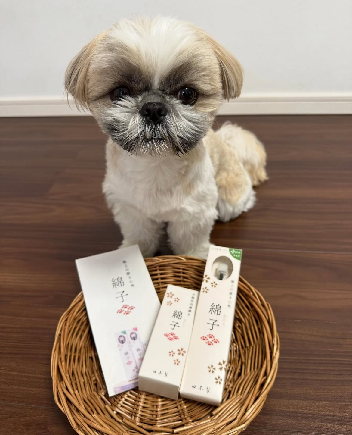 Wata-ko - 360° Ultra-Soft Toothbrush for Pets 【Made in Japan】