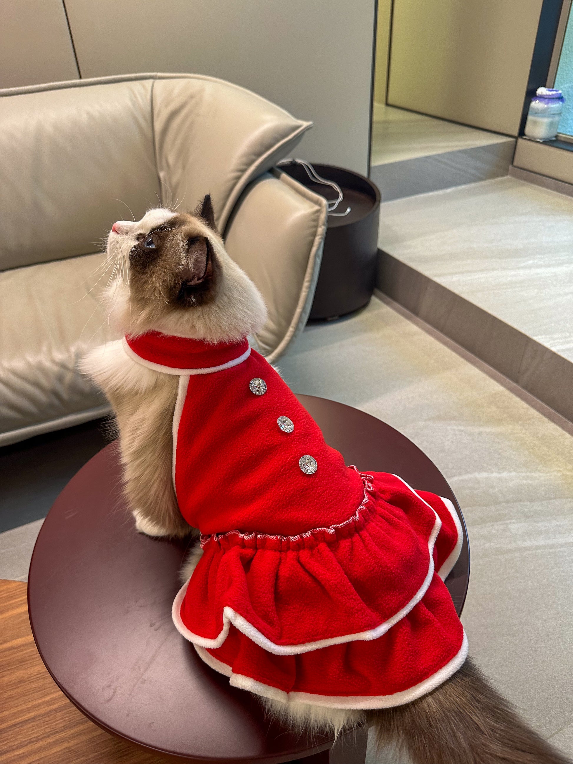 Pet Christmas Dress S576