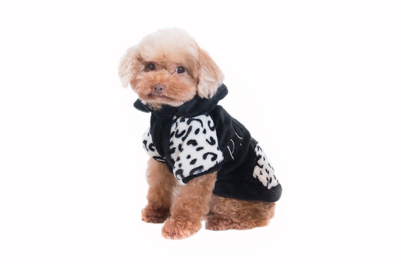 pet shirt black and white leopard print - black