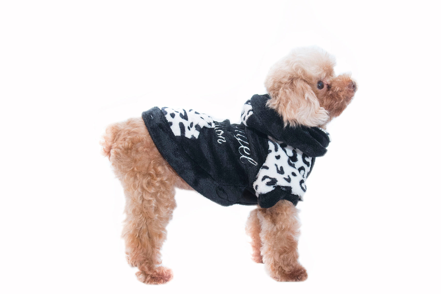 pet shirt black and white leopard print - black