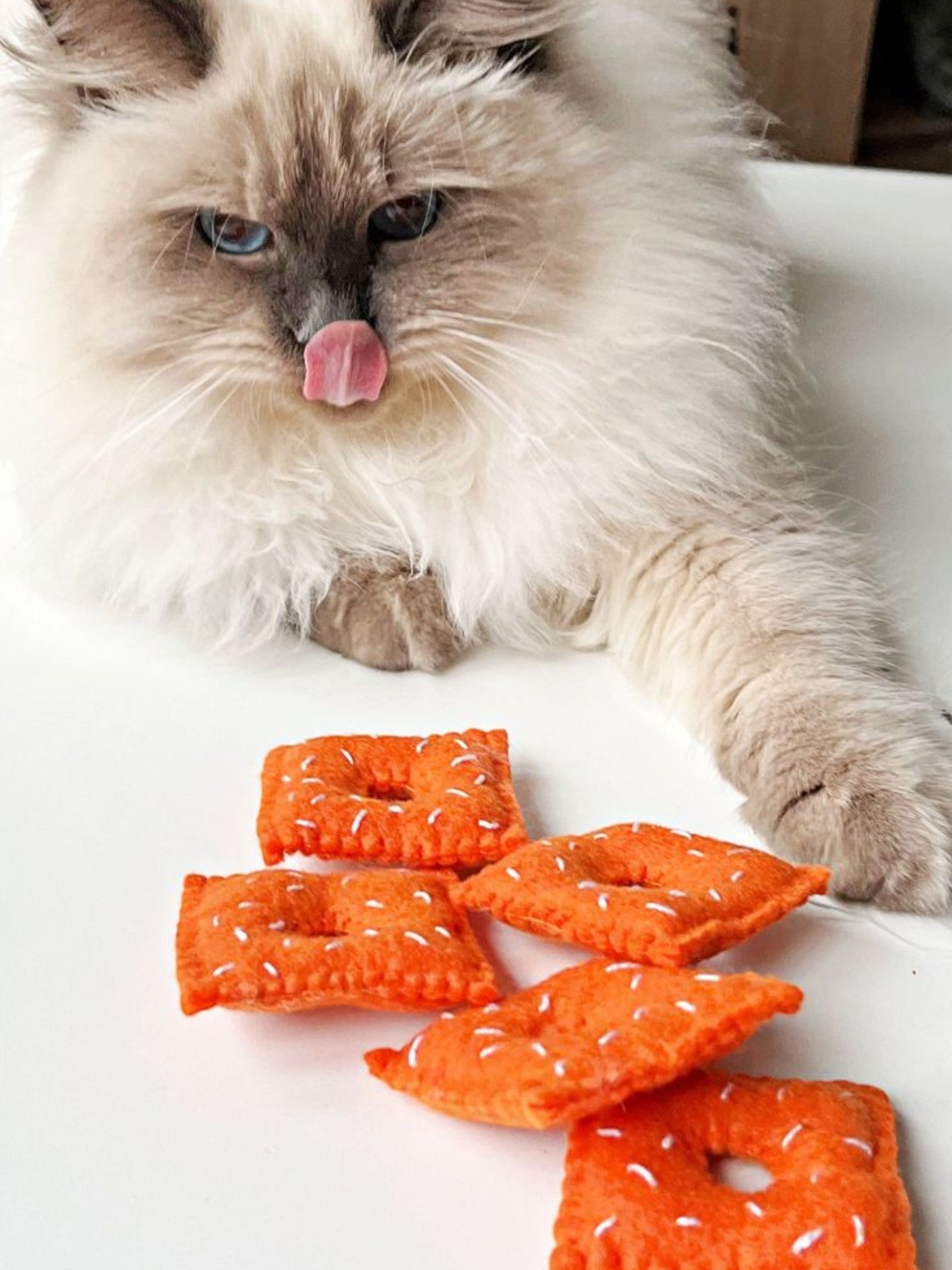 Cat Toys