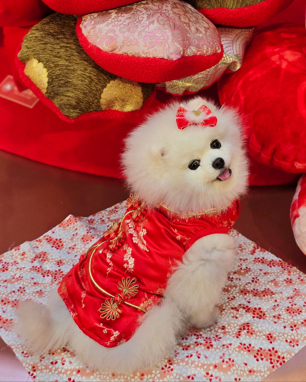 Pet Brocade Dress Red S642RD