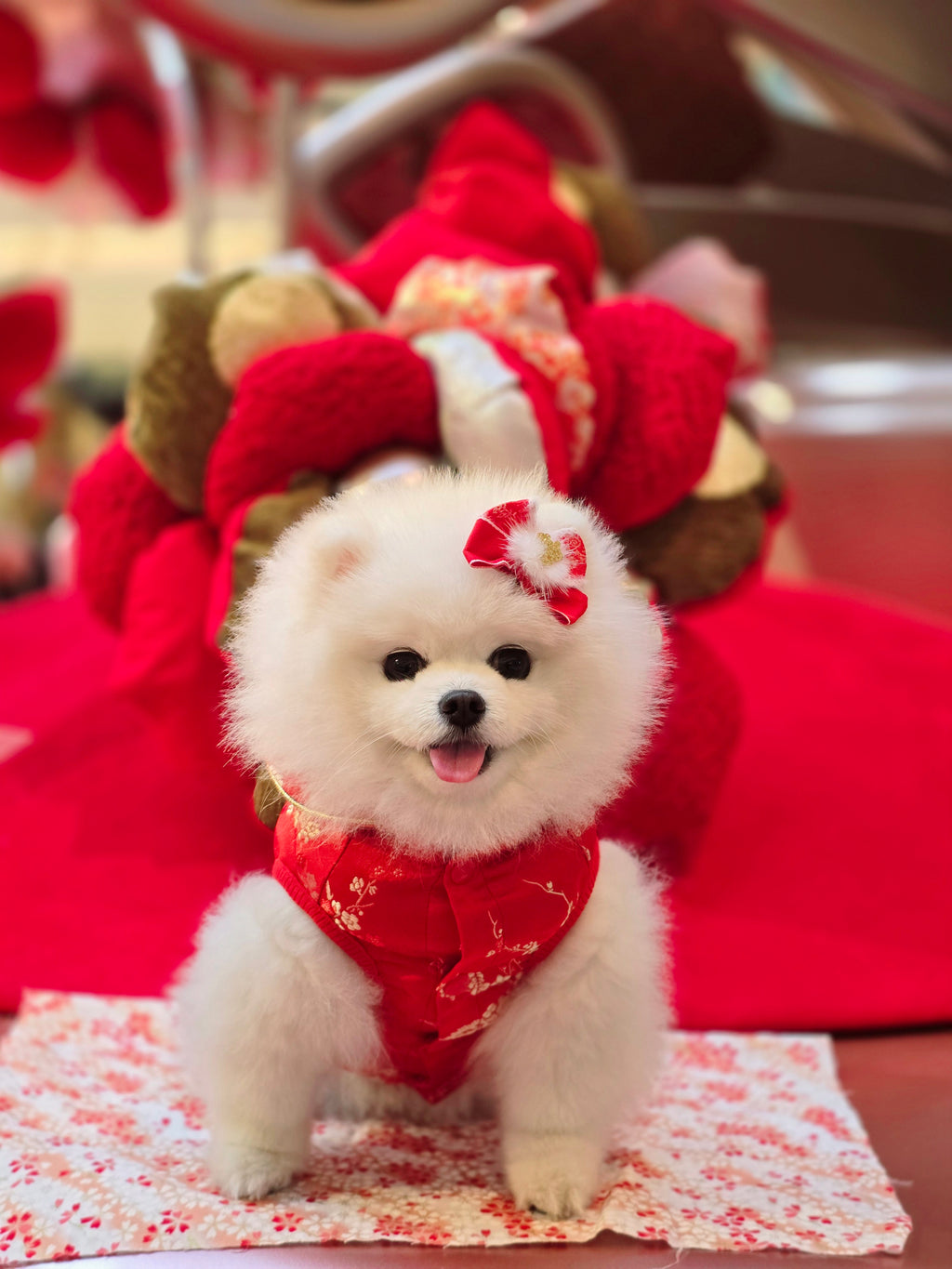 Pet Brocade Dress Red S642RD