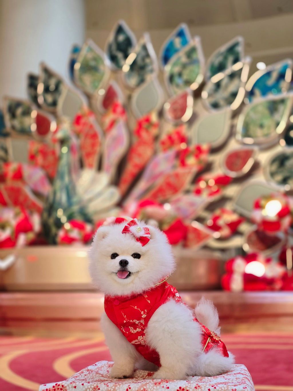 Pet Brocade Dress Red S642RD