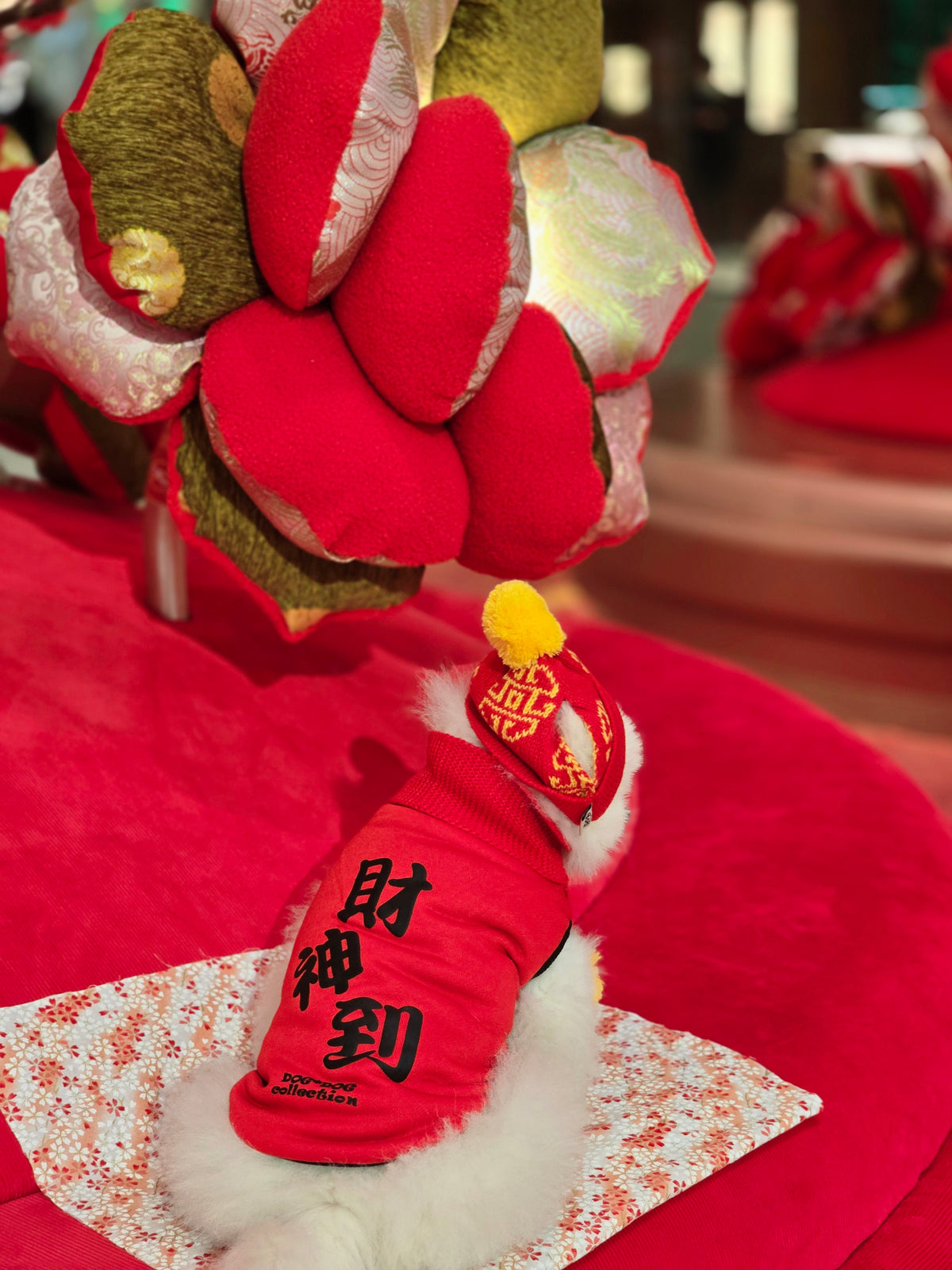 寵物雙面賀年衫 財神到 S428