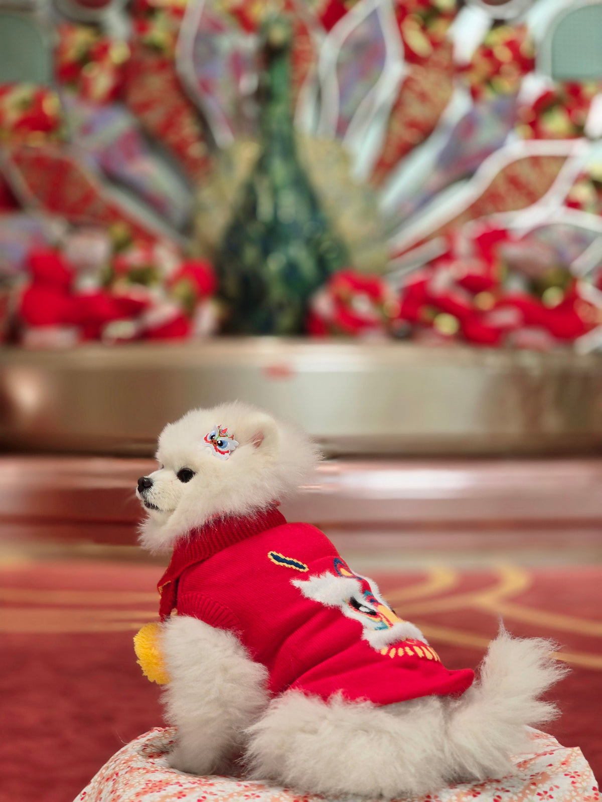 Pet Sweater Chinese New Year Lion Wake Pattern S644RD