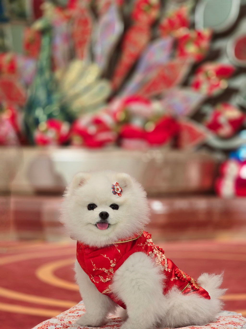 Pet Brocade Dress Red S642RD