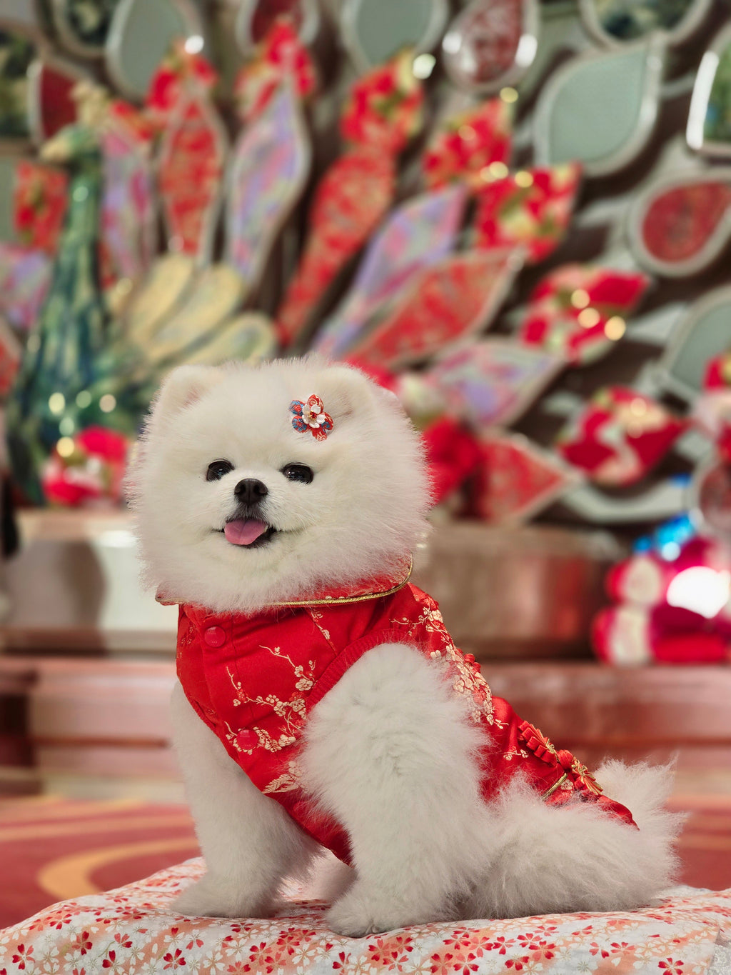 Pet Brocade Dress Red S642RD