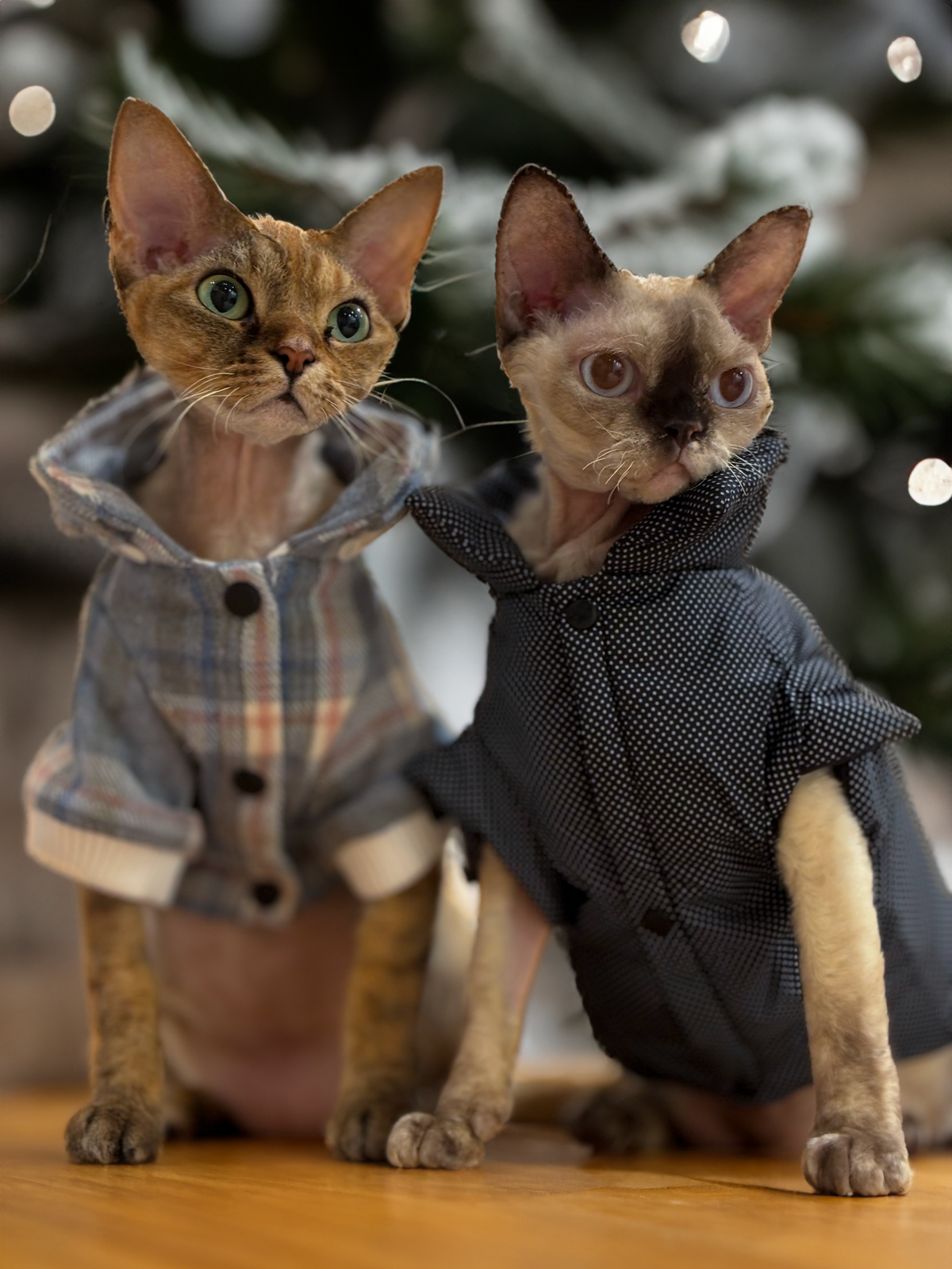 Grey Checkered Detachable Hooded Jacket - S647GY