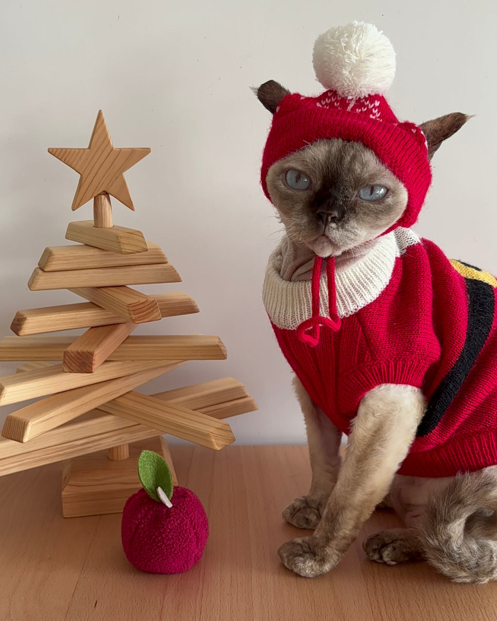 Pet Santa Claus Sweater S637R