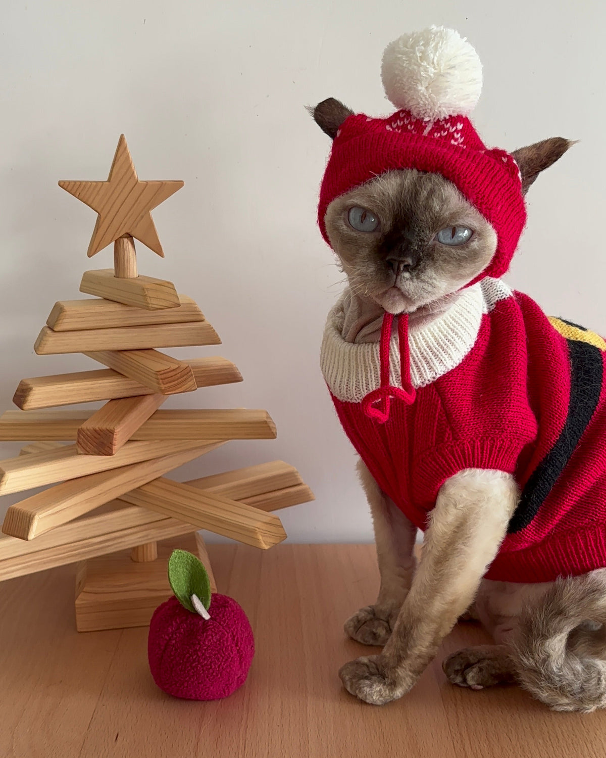 Pet Santa Claus Sweater S637R