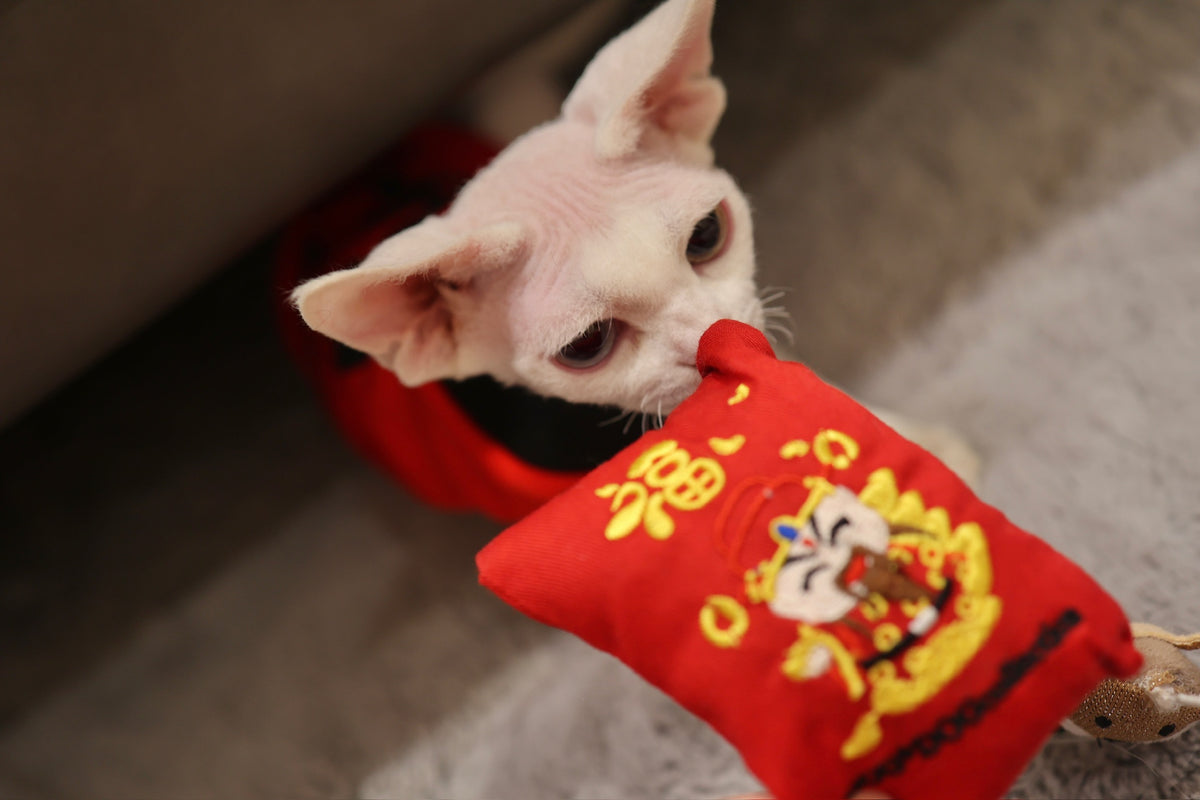 Red Packet Toy (L) Pet Toy Z001