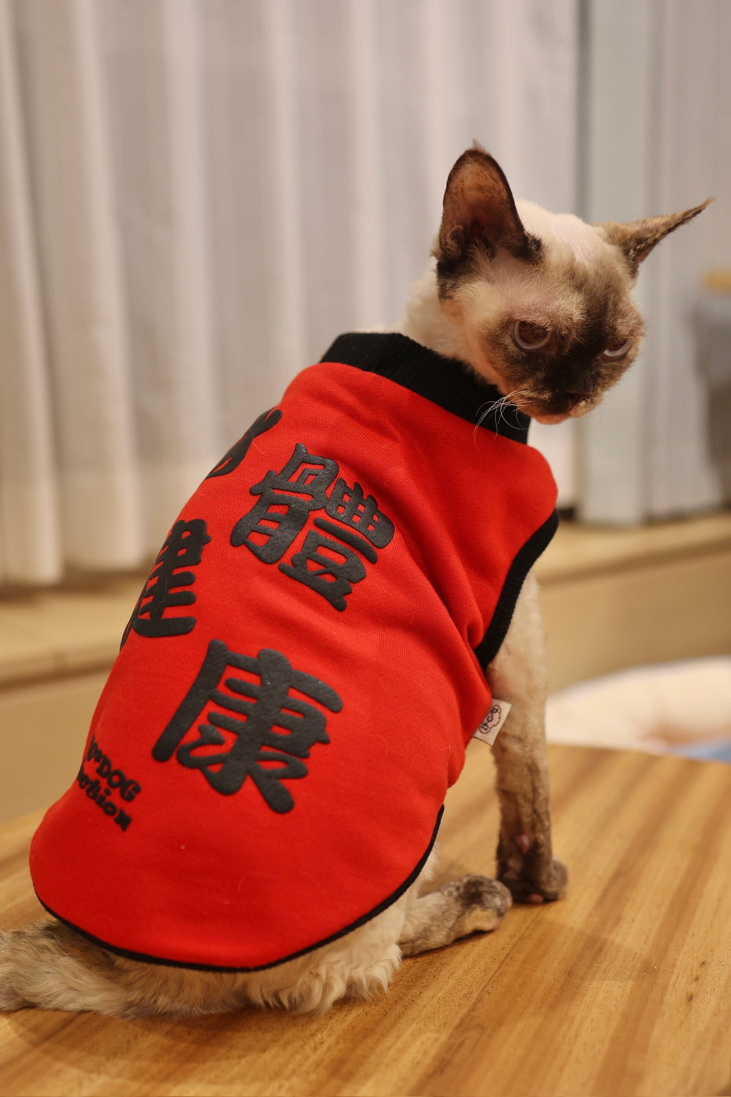 CNY Reversible Tee Good Health S427