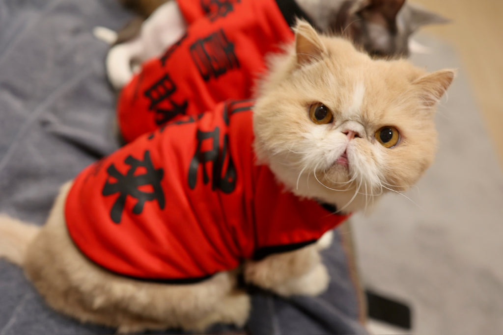 Pet Reversible T-shirt CNY Red Pocket S426