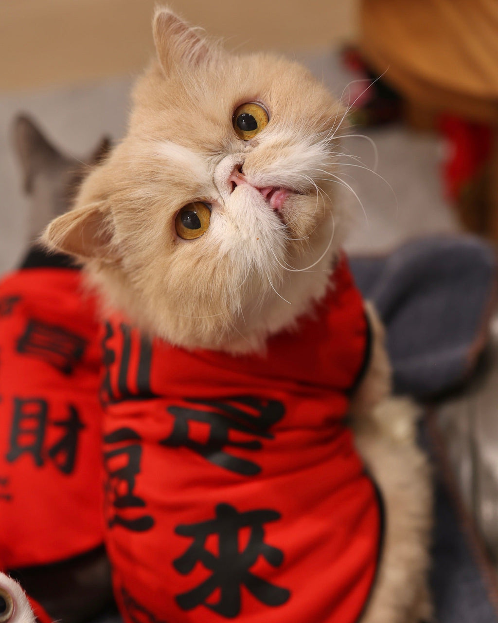 Pet Reversible T-shirt CNY Red Pocket S426