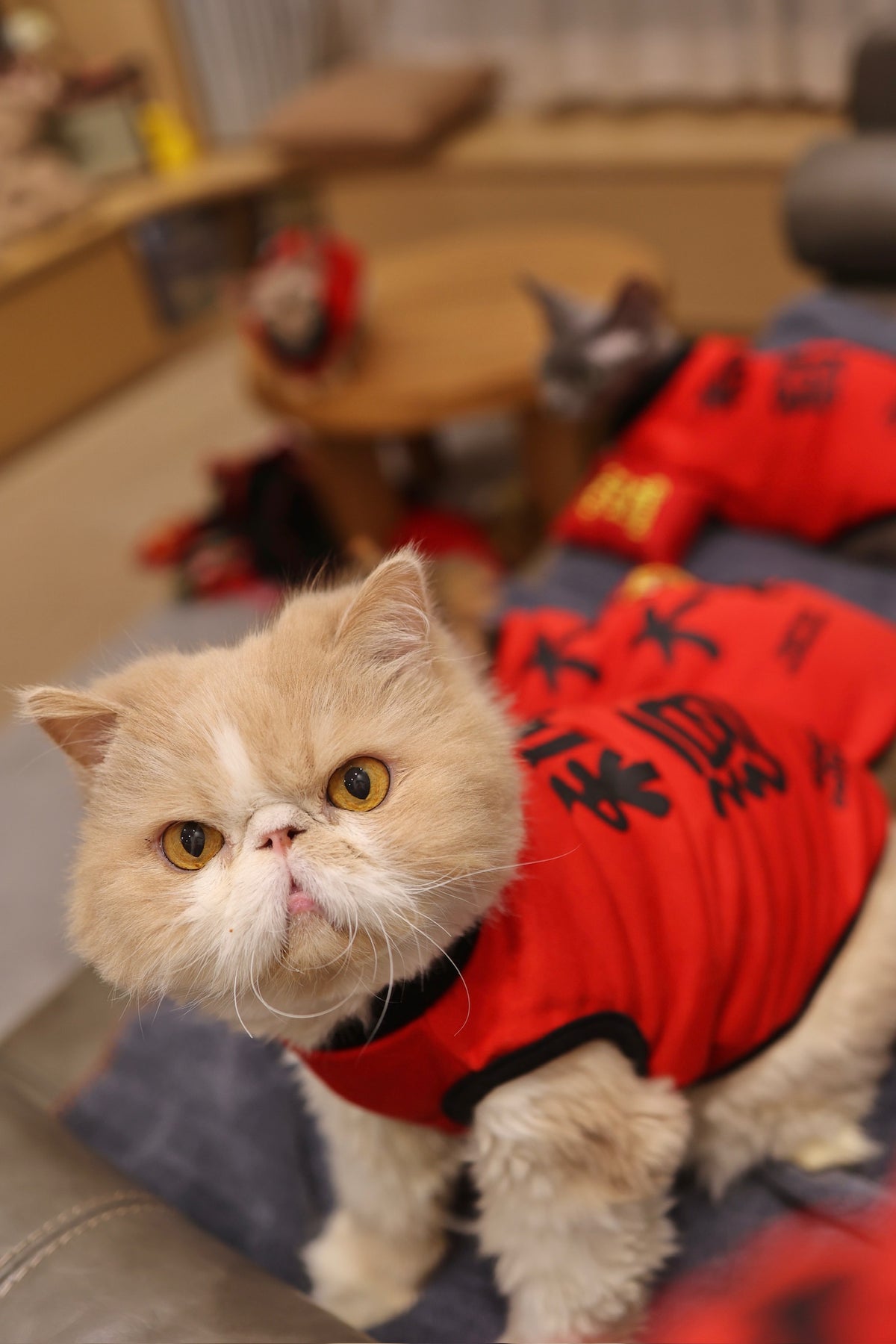 Pet Reversible T-shirt CNY Red Pocket S426