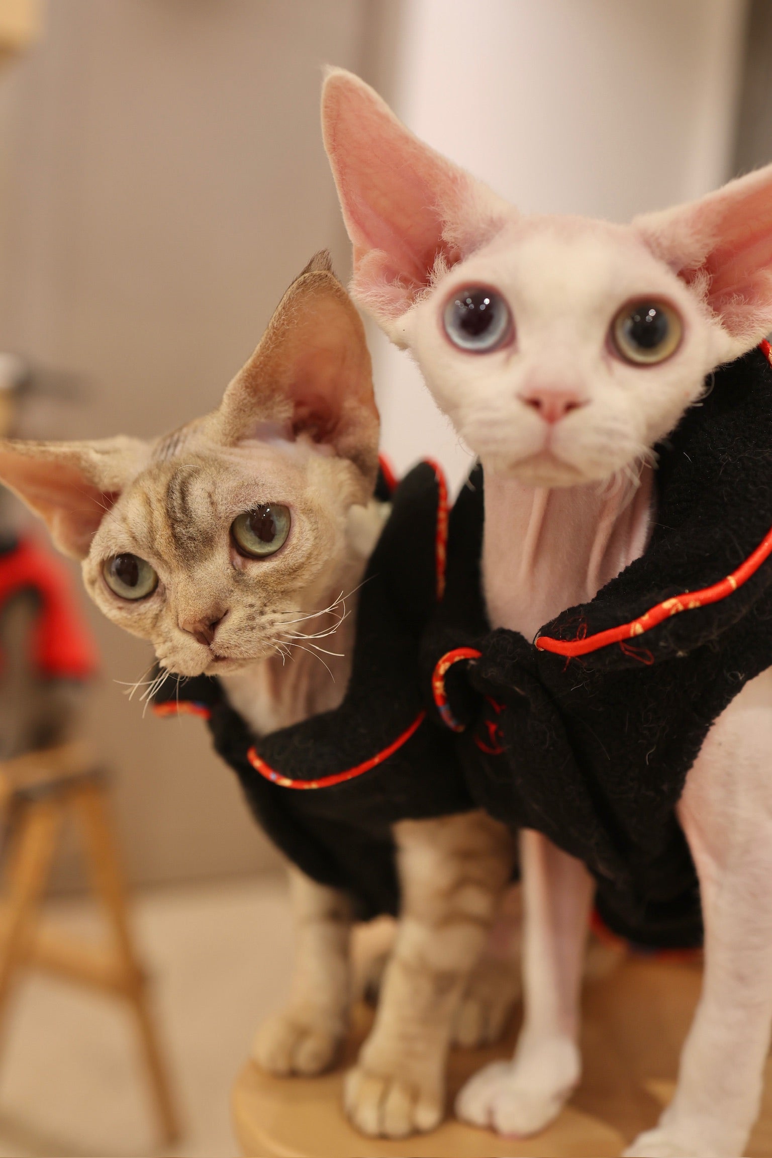 Double Happiness Fleece Jacket S363BK