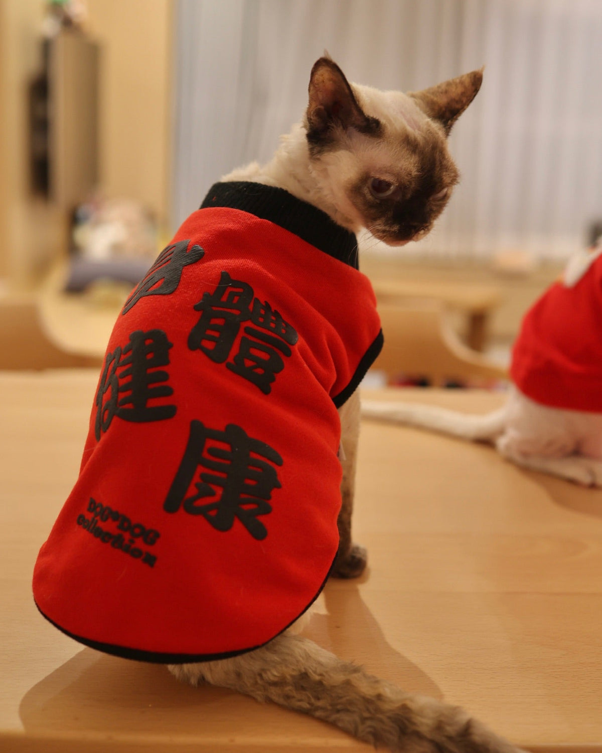 CNY Reversible Tee Good Health S427