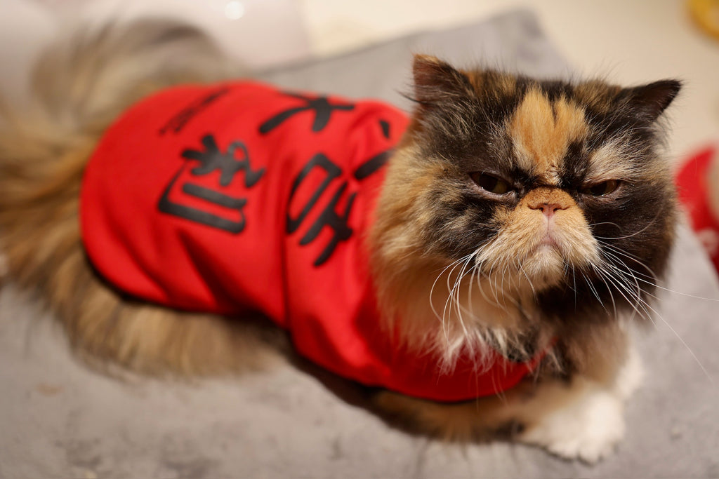 寵物雙面賀年衫  大吉大利 S430