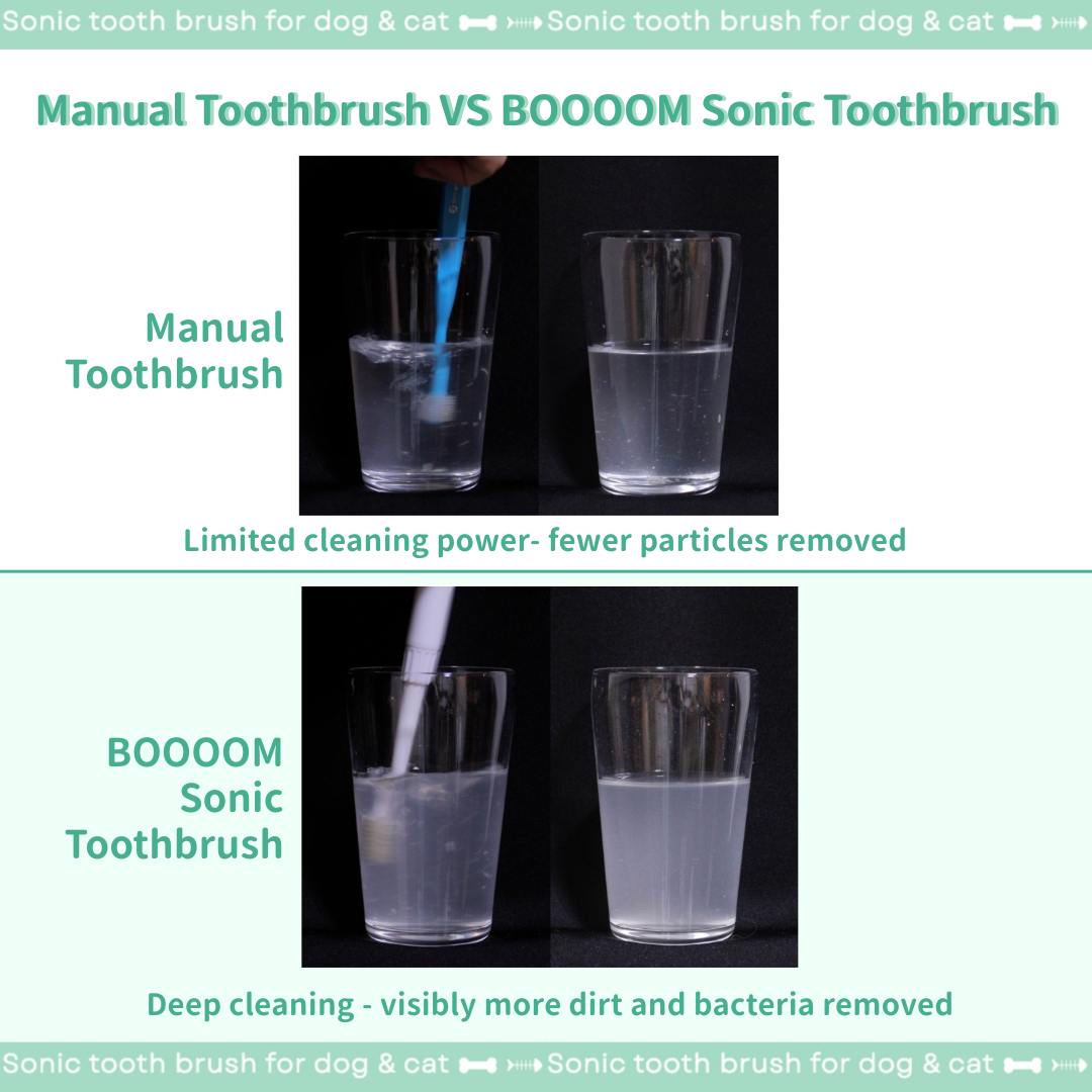 BOOOOM Specific 360° Sonic Pet Toothbrush（Small Brush-head） – Made in Japan (Blue/Pink)