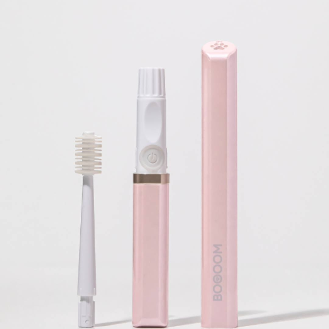 BOOOOM Specific 360° Sonic Pet Toothbrush（Large Brush head） – Made in Japan (Blue/Pink)