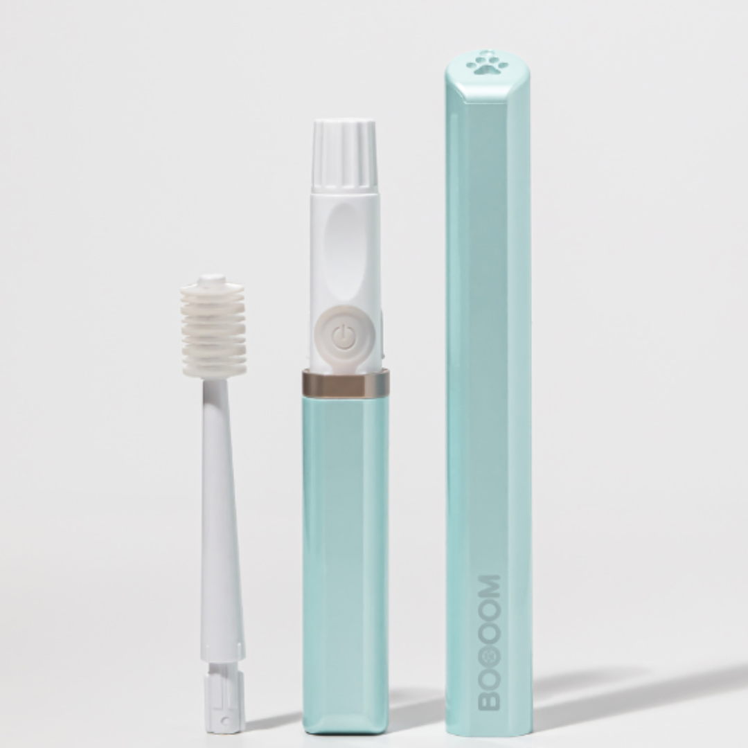 BOOOOM 寵物專用 360° 聲波牙刷 (大刷頭)– 日本製造（藍色/粉紅色）