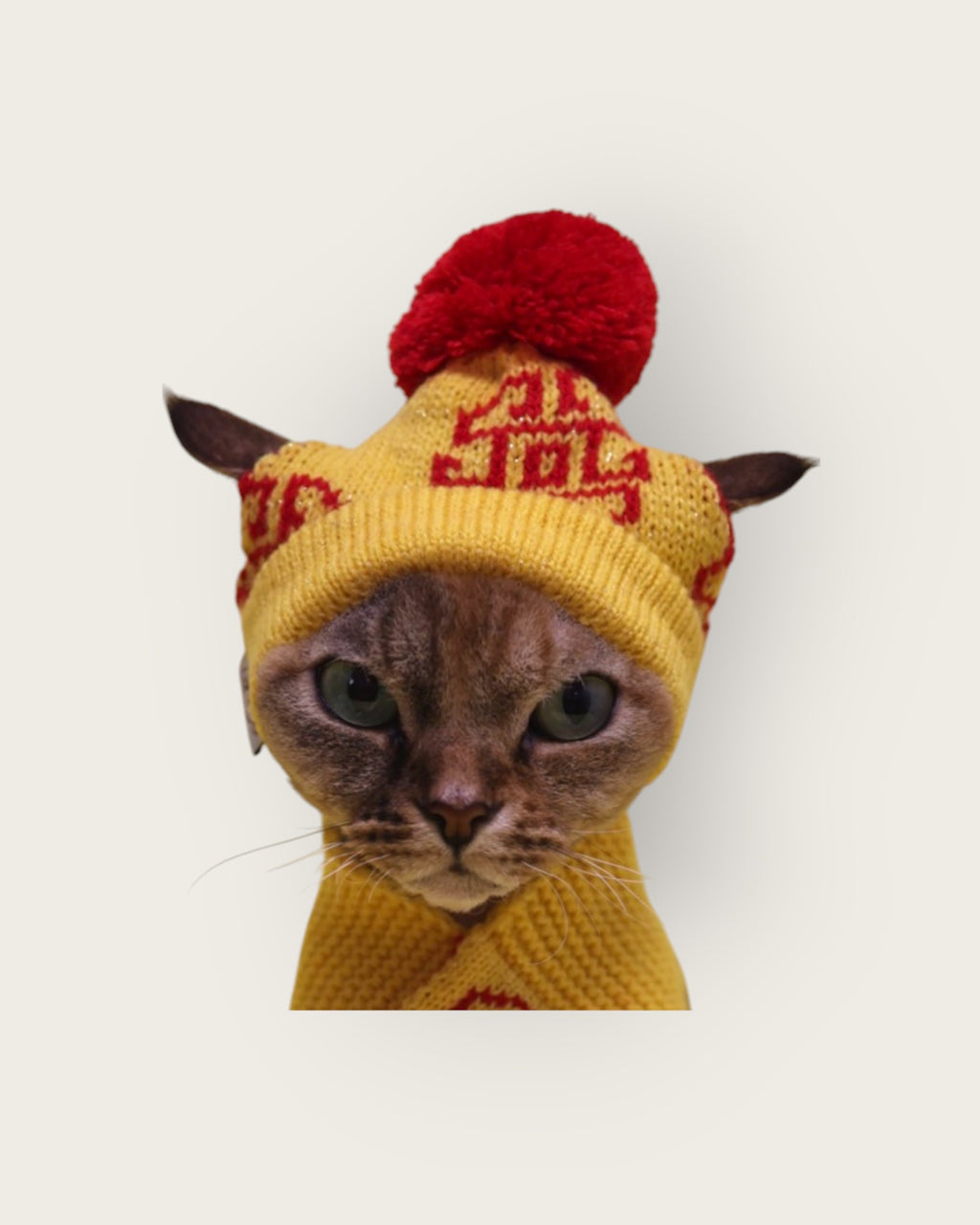 Chinese New Year Hat- Yellow C910Y