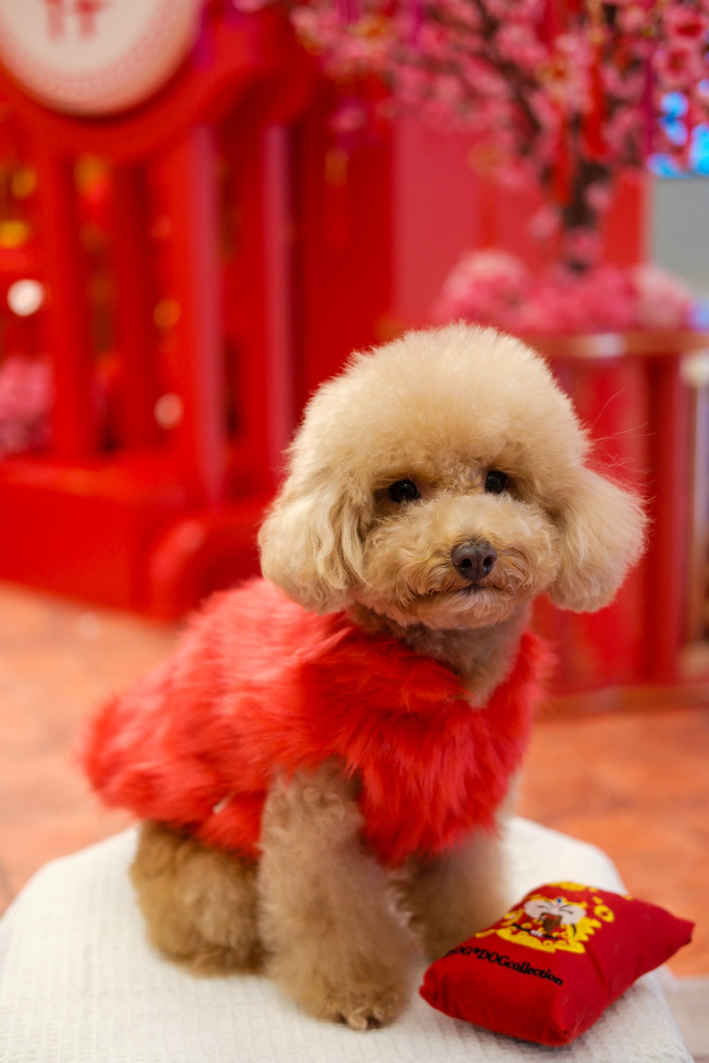 Faux Fur Coat - Red S602RD