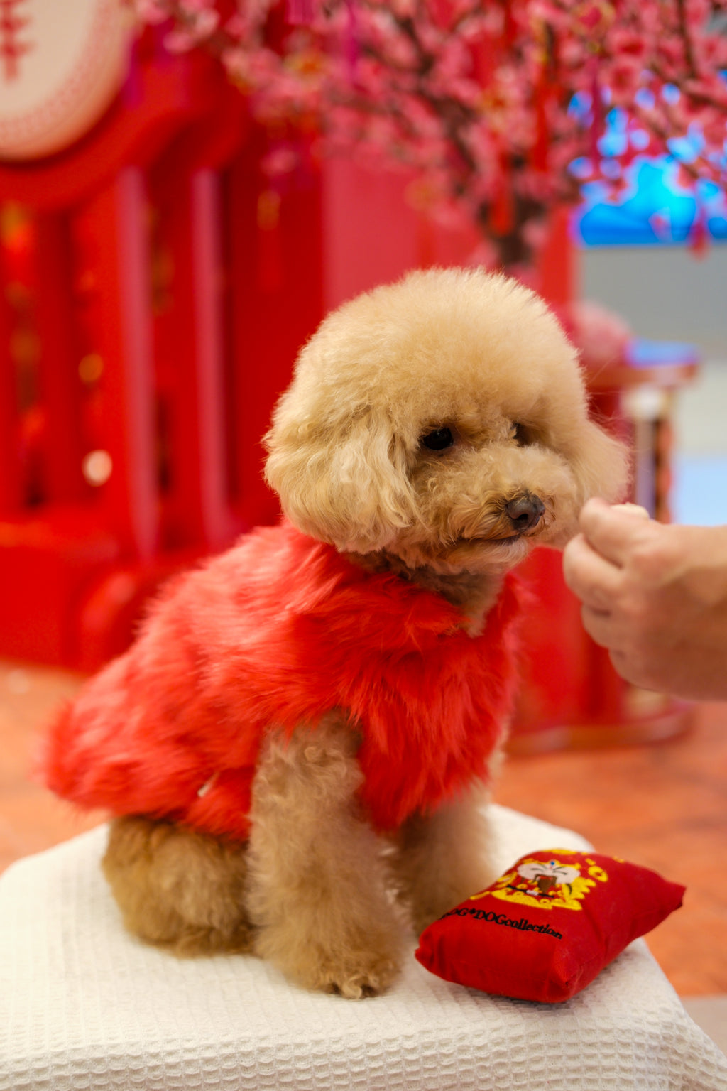 Faux Fur Coat - Red S602RD