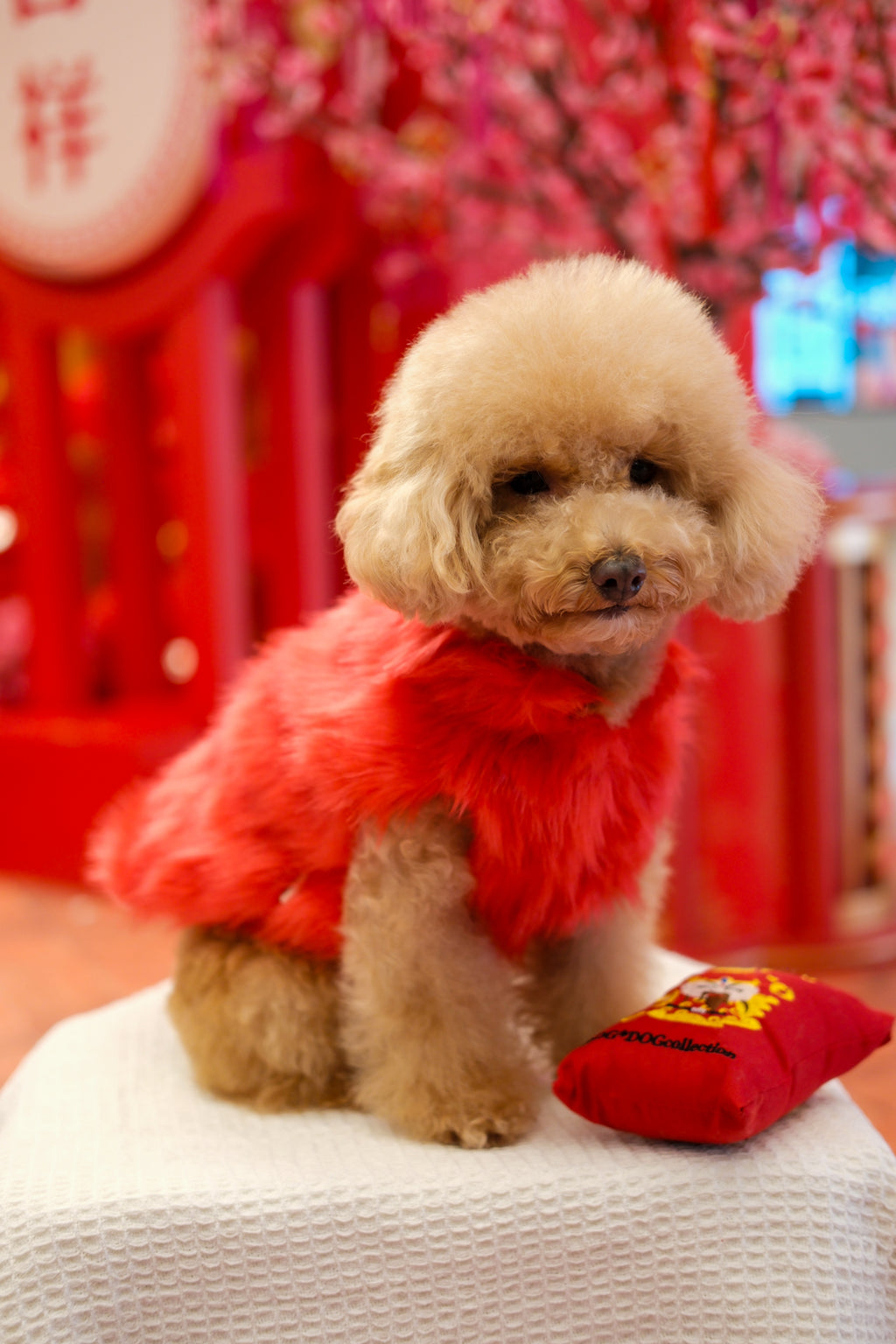 Faux Fur Coat - Red S602RD