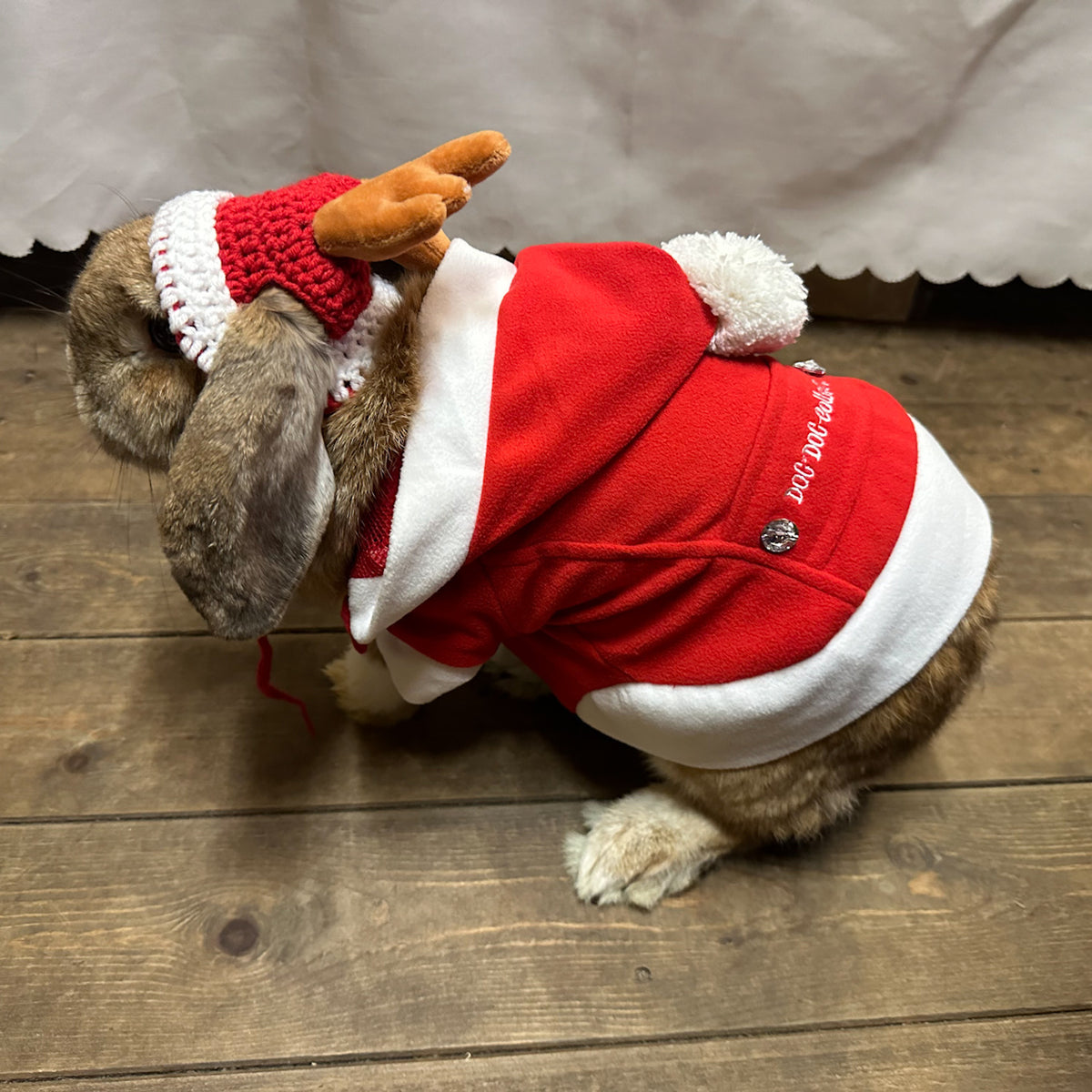 Sam Christmas Hooded Jacket S575