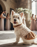 Pet Patti Elegant Dress S560BN