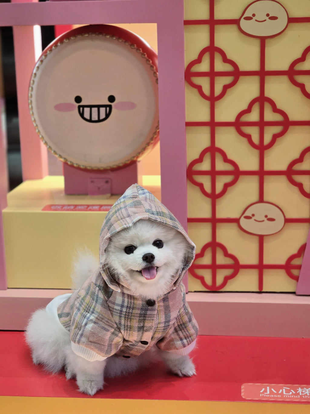 Pink Checkered Detachable Hooded Jacket - S646PK