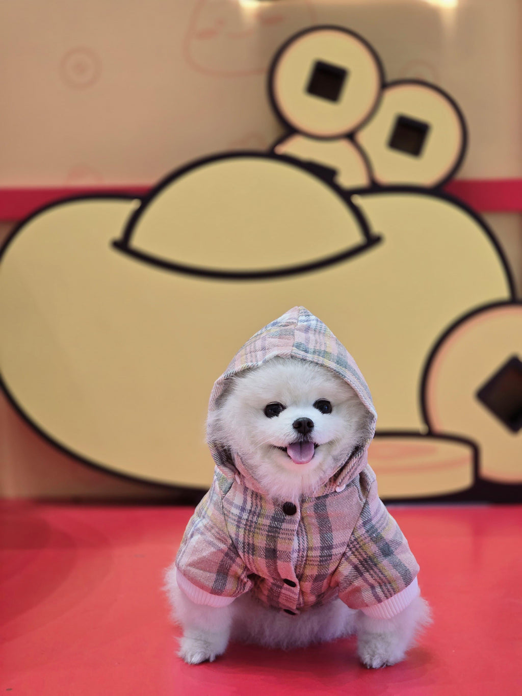 Pink Checkered Detachable Hooded Jacket - S646PK