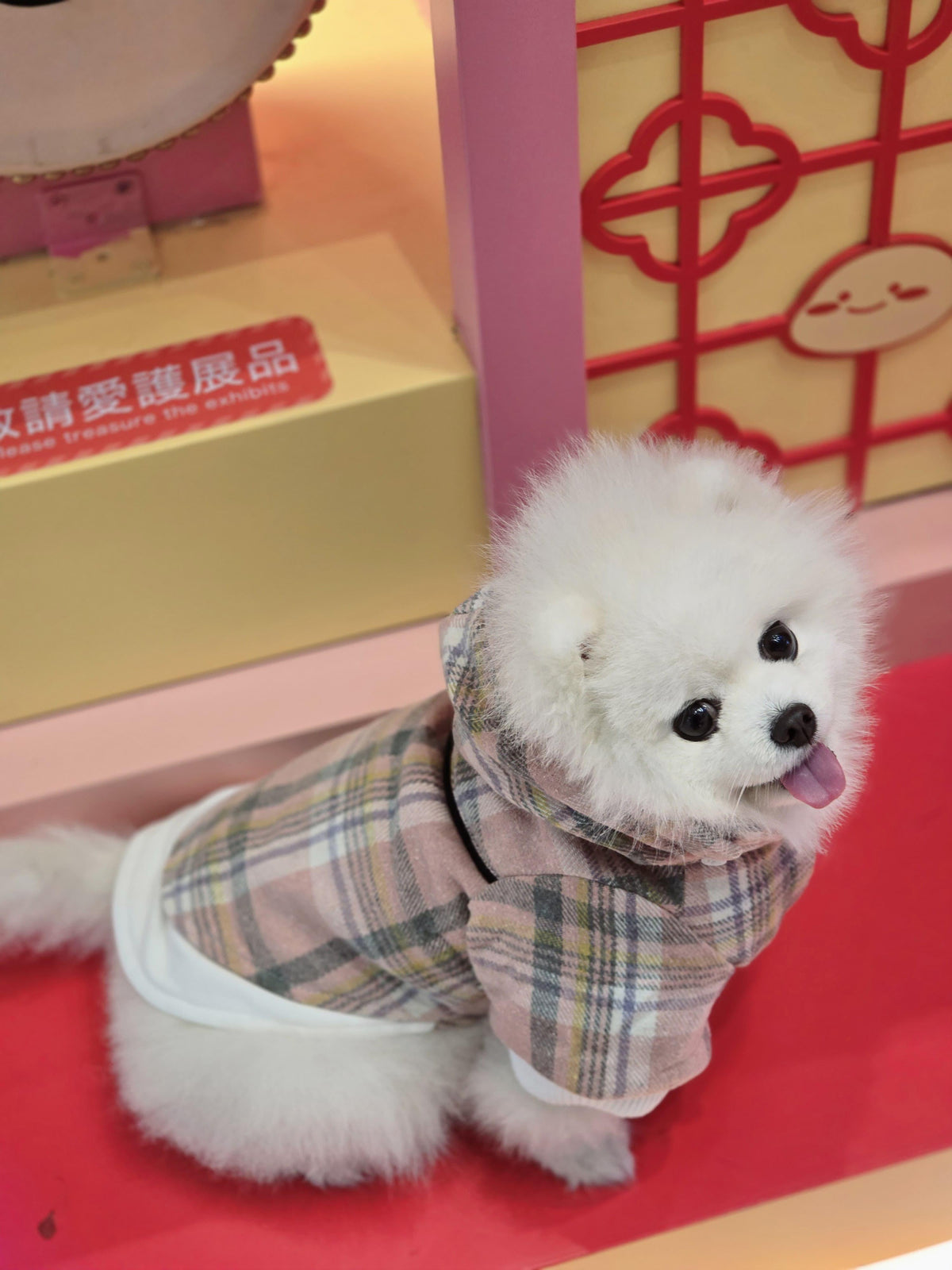 Pink Checkered Detachable Hooded Jacket - S646PK