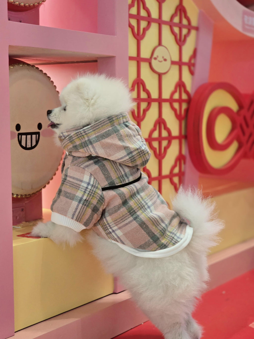 Pink Checkered Detachable Hooded Jacket - S646PK