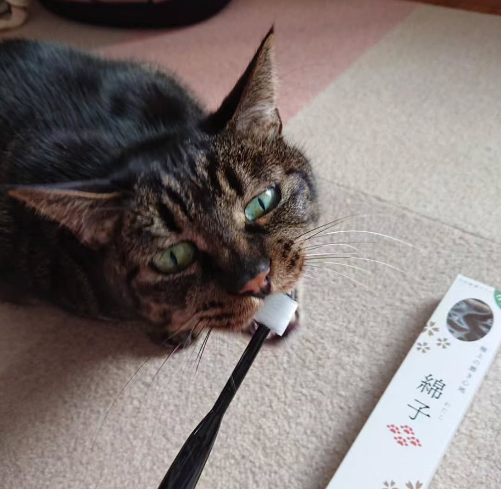 Wata-ko - 360° Ultra-Soft Toothbrush for Pets 【Made in Japan】