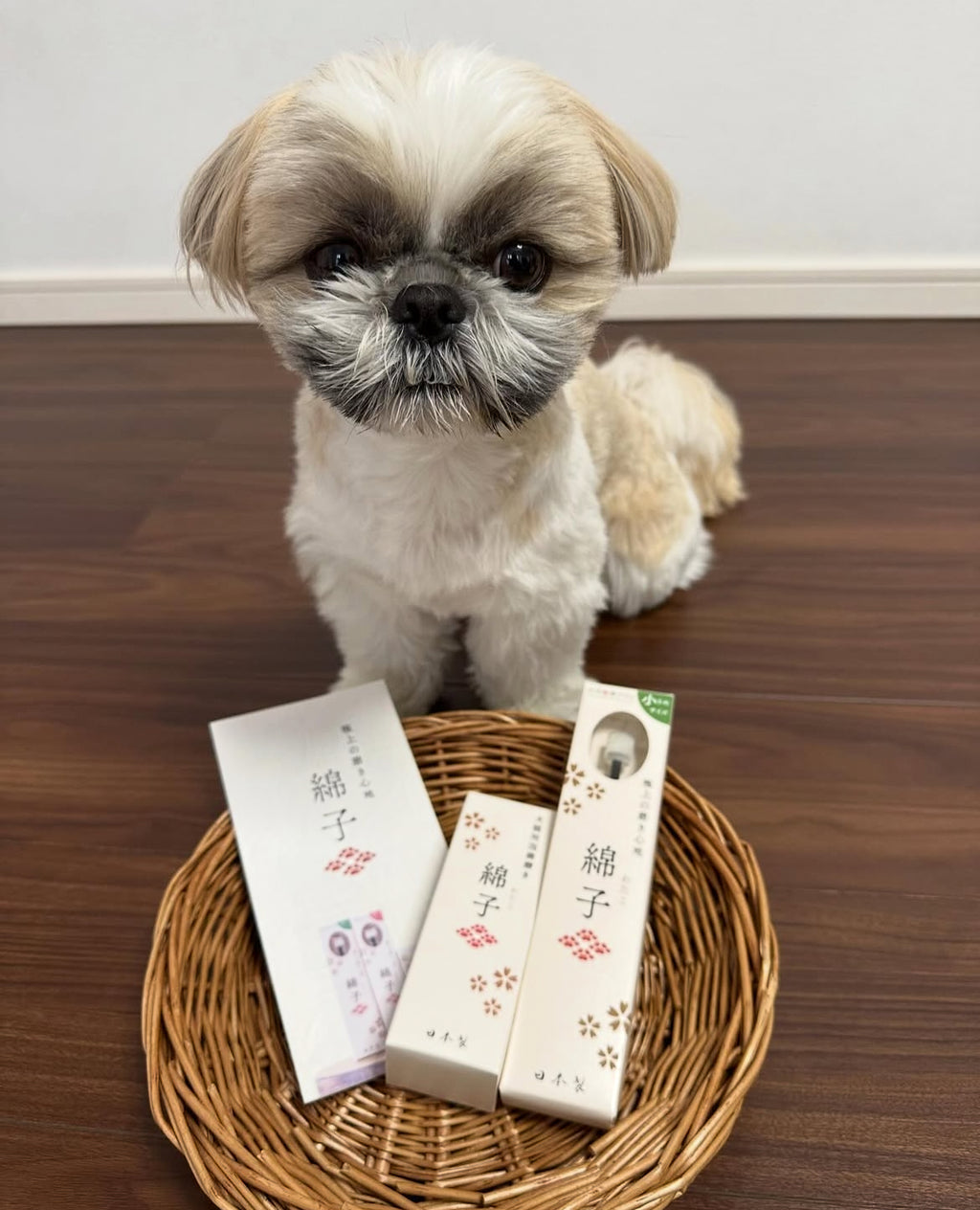 Wata-ko - 360° Ultra-Soft Toothbrush for Pets 【Made in Japan】