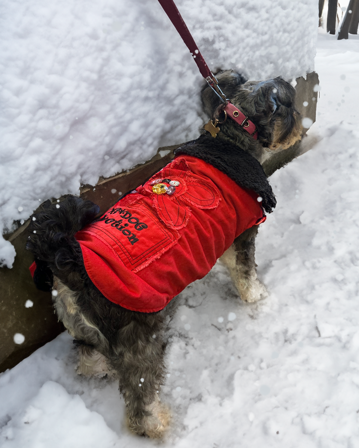 Velvet Patchwork Coat- Red S513R