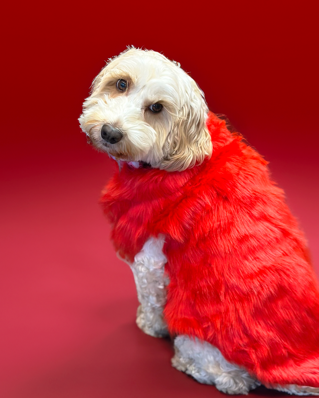 Faux Fur Coat - Red S602RD