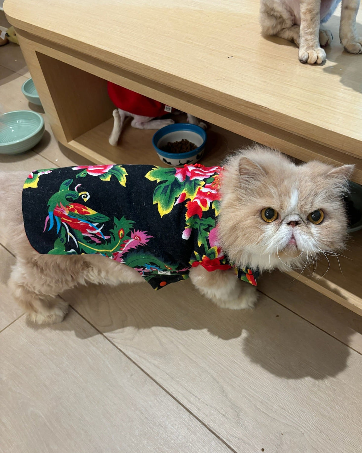 潔西卡連身裙中國風狗狗連身裙黑色S523BK
