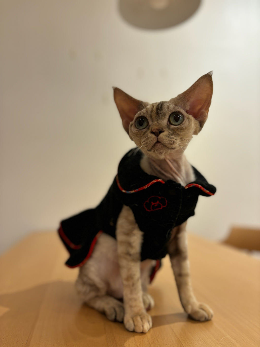 Double Happiness Fleece Dog Dress S364BK