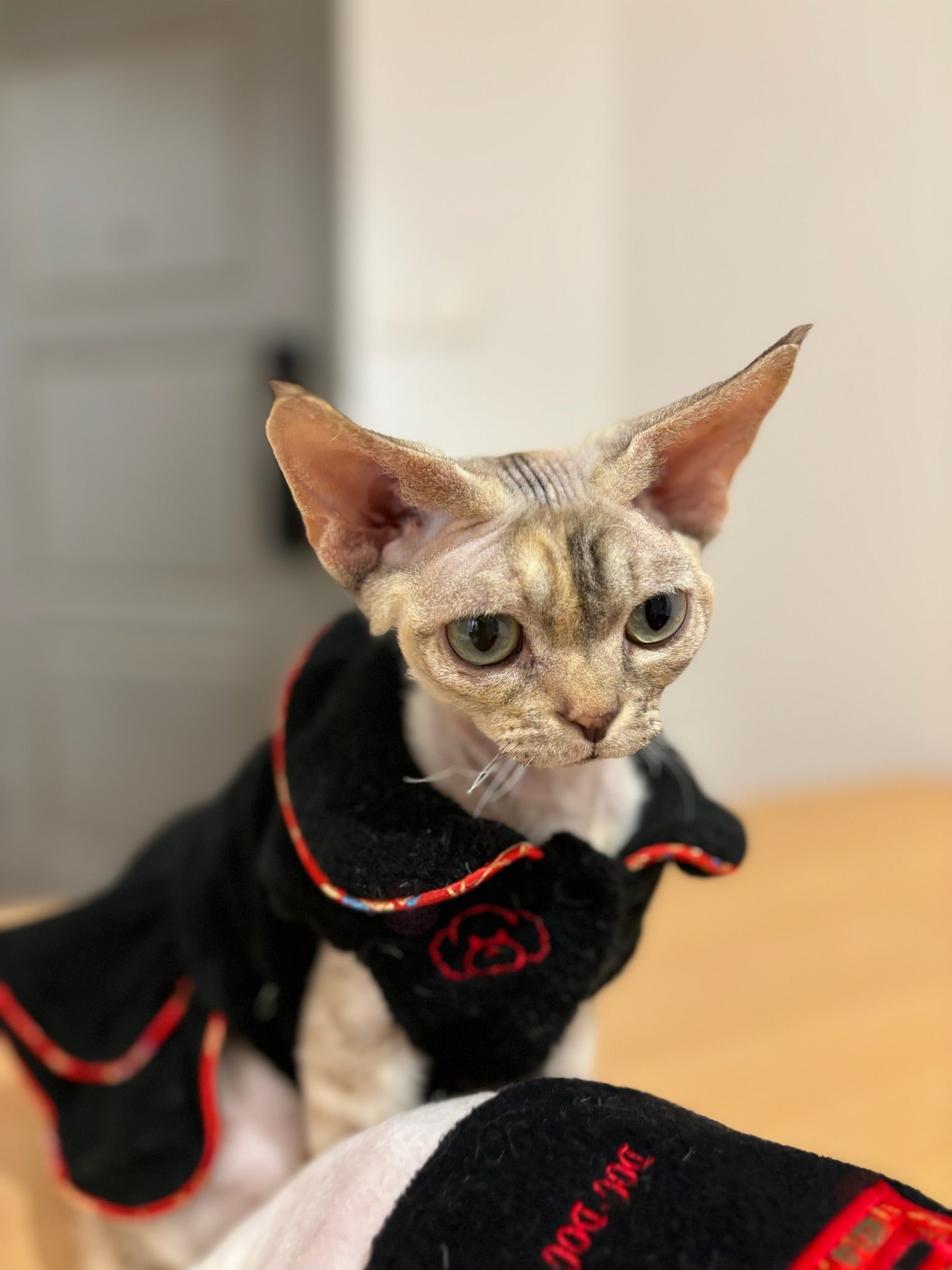 Double Happiness Fleece Dog Dress S364BK