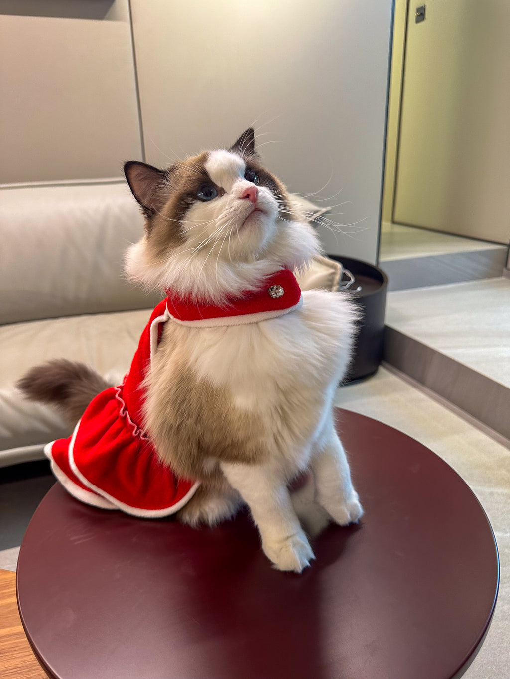 Pet Christmas Dress S576