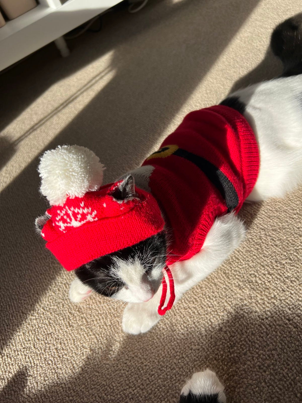Pet Santa Claus Sweater S637R