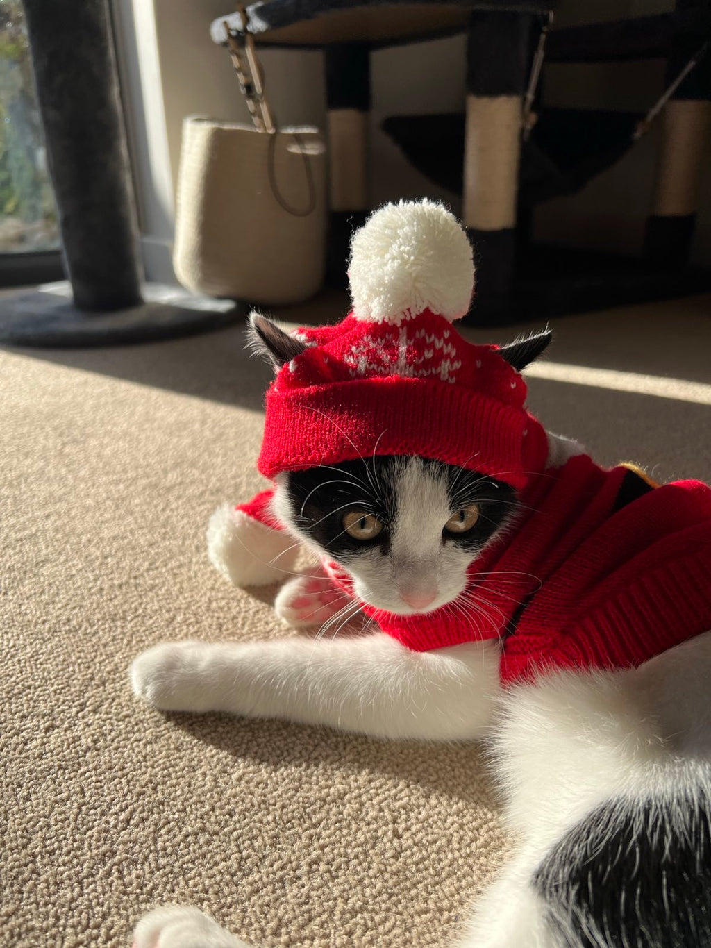 Pet Santa Claus Sweater S637R