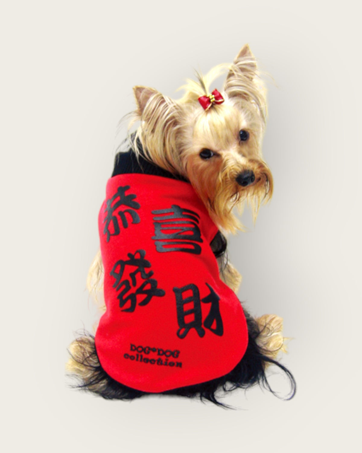 寵物雙面賀年衫  恭喜發財 S425