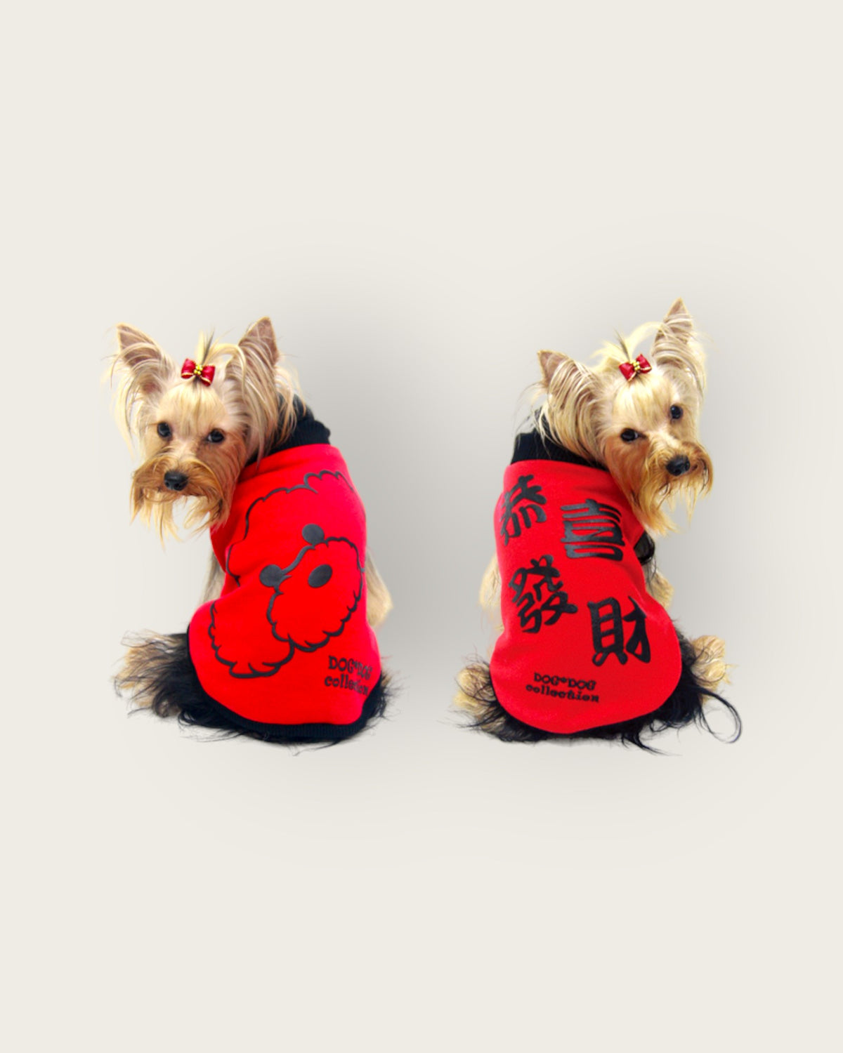 寵物雙面賀年衫  恭喜發財 S425