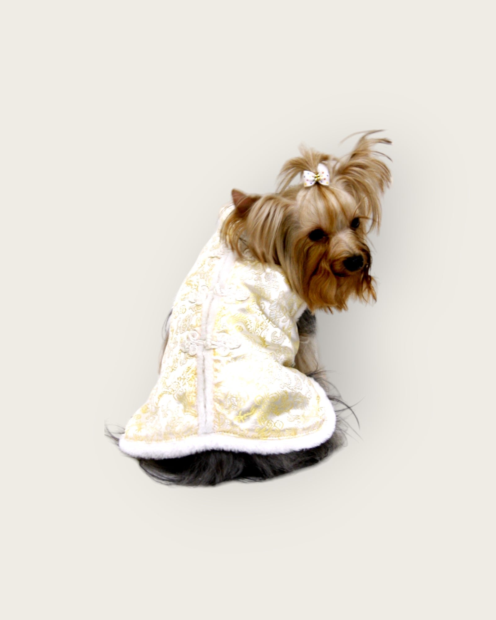 White Fur Edge New Year's shirt-Gold S485Y